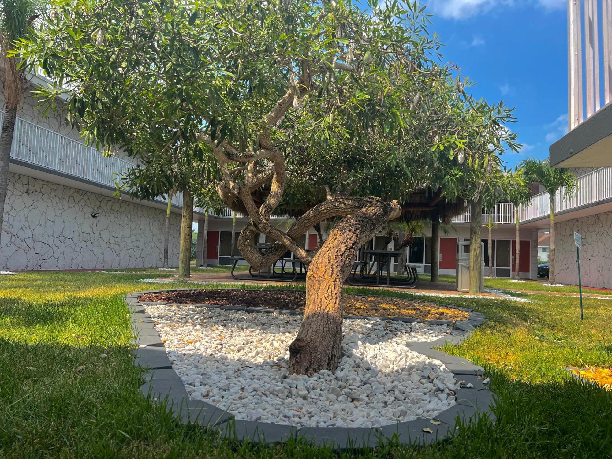 Garden Inn Homestead/Everglades/Gateway To Keys Eksteriør bilde